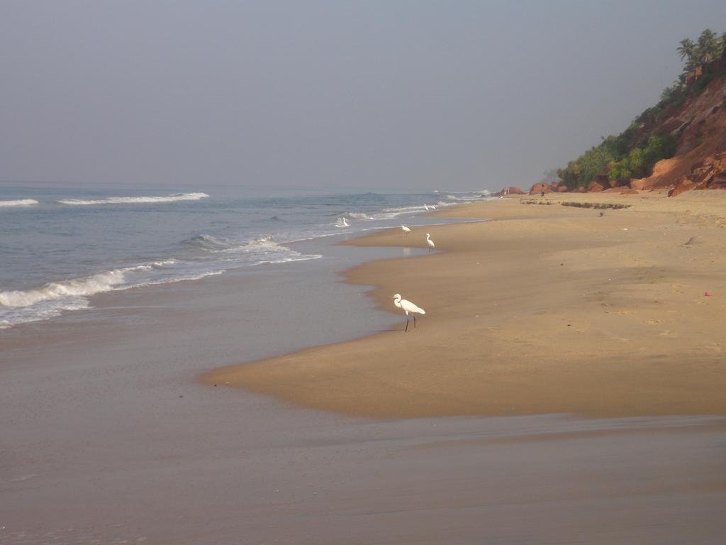 فندق The Oceano فاركَالا المظهر الخارجي الصورة